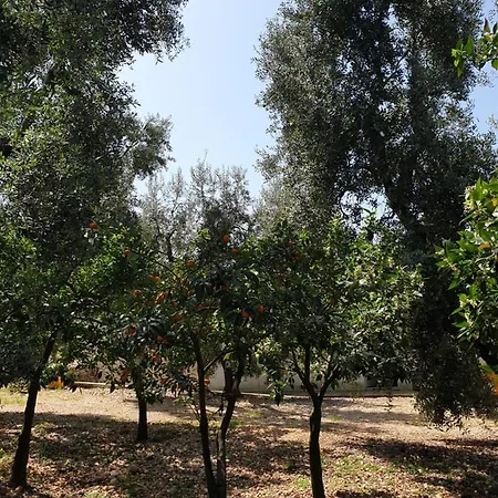Masseria Romagnolo Отель типа 