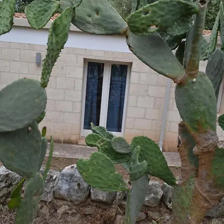 Masseria Romagnolo 3*