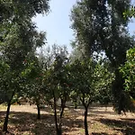 Masseria Romagnolo 住宿加早餐酒店 卡尔皮诺