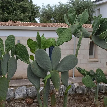 Bed & Breakfast Masseria Romagnolo